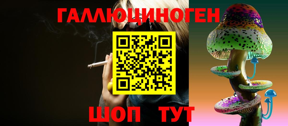 Псилоцибиновые грибы Psilocybine cubensis Протвино